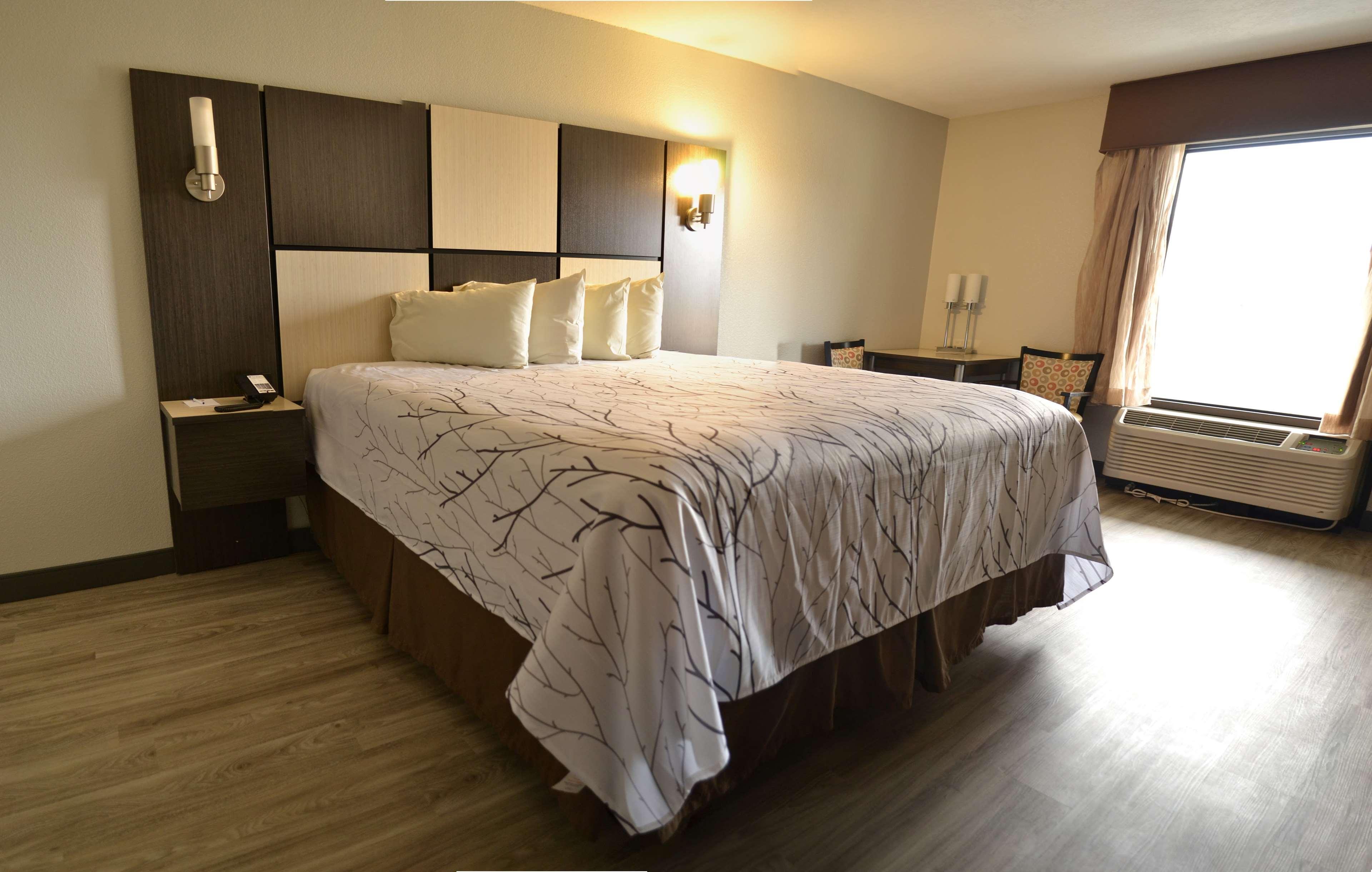 Best Western Cades Cove Inn Townsend Dış mekan fotoğraf